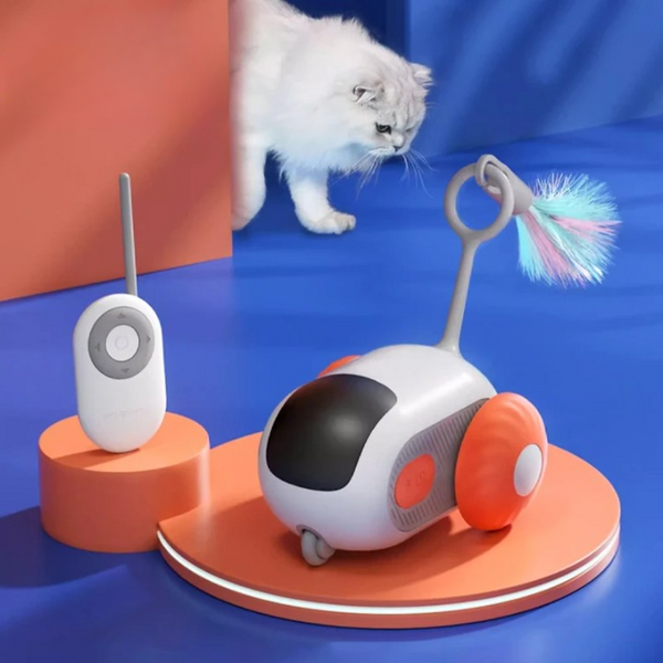 Smart Cat Car Toy & Cat Toy Ball - buyfoor