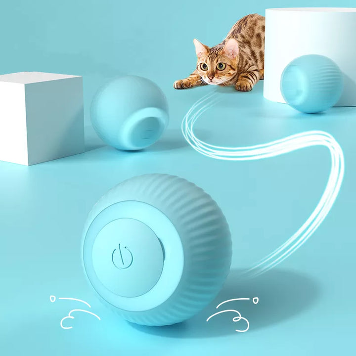 Rolling smart Cat Ball Toy - buyfoor